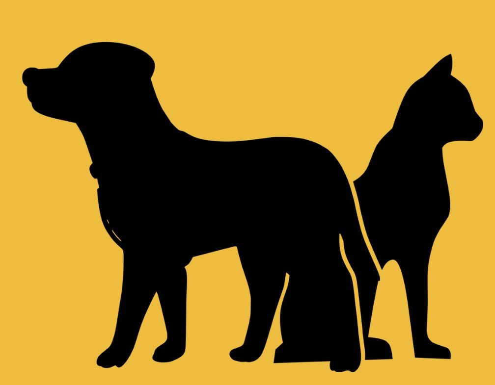 Hond en kat, zwart en geel